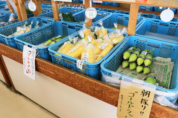 その他の果物・野菜コーナー（室内）3