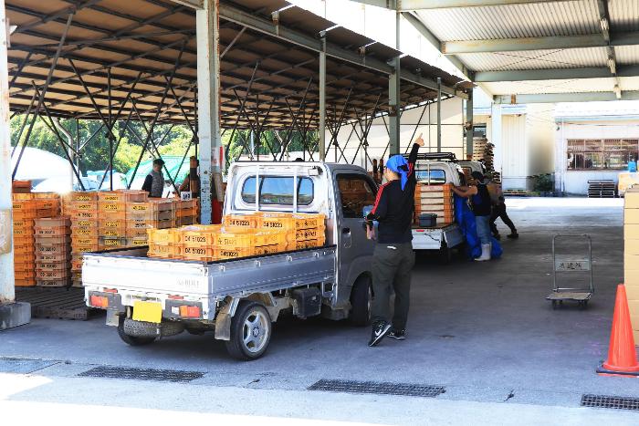 桑折共選所の写真1