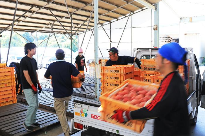 桑折共選所の写真2