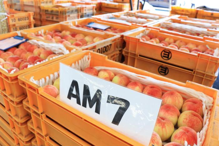 桑折共選所の写真4