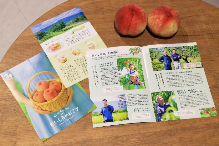 パンフレットの写真