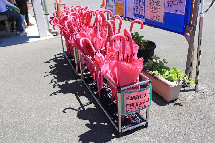 伊達果実農業協同組合「だてかベジフル」4