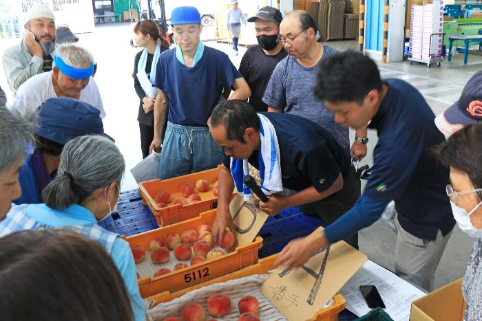目揃え会の様子3