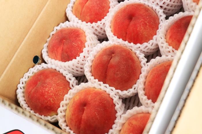 JAふくしま未来 桑折フレッシュBOX1