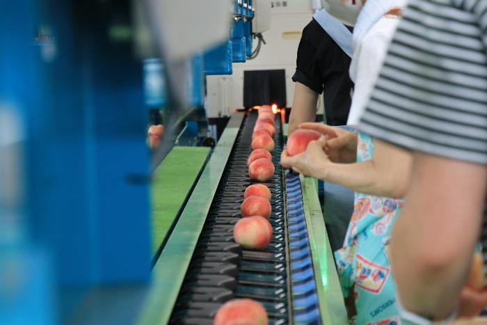 JAふくしま未来 桑折フレッシュBOX2