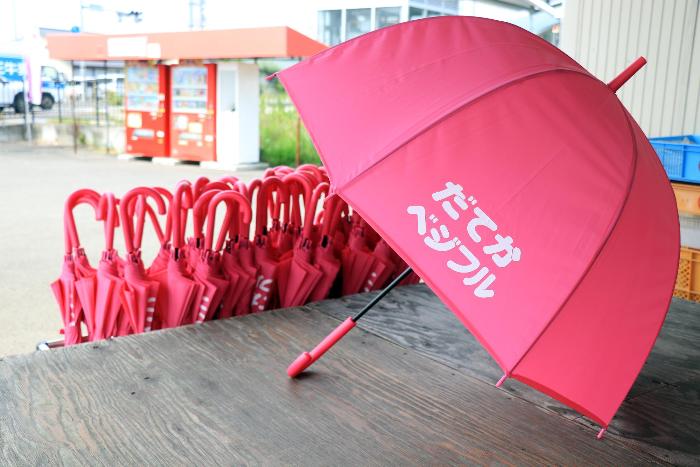 桃色の日傘の写真