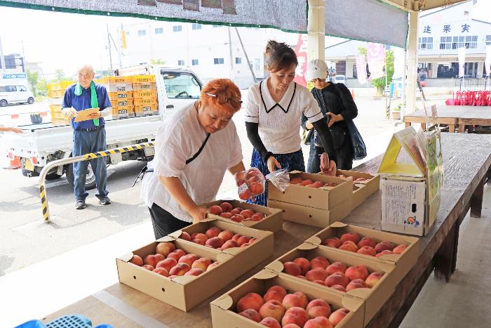 伊達果実農業協同組合「だてかベジフル」直売所1