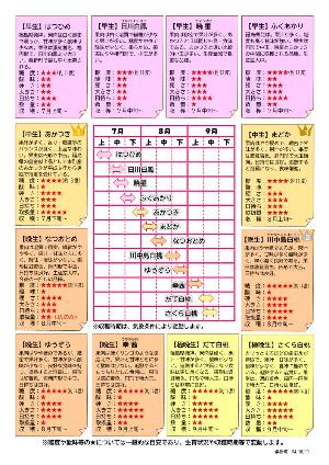 桃の品種別の特徴についての画像