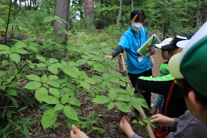 小鳥の森で自然体験3