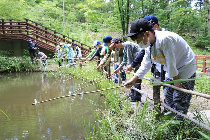 小鳥の森で自然体験4