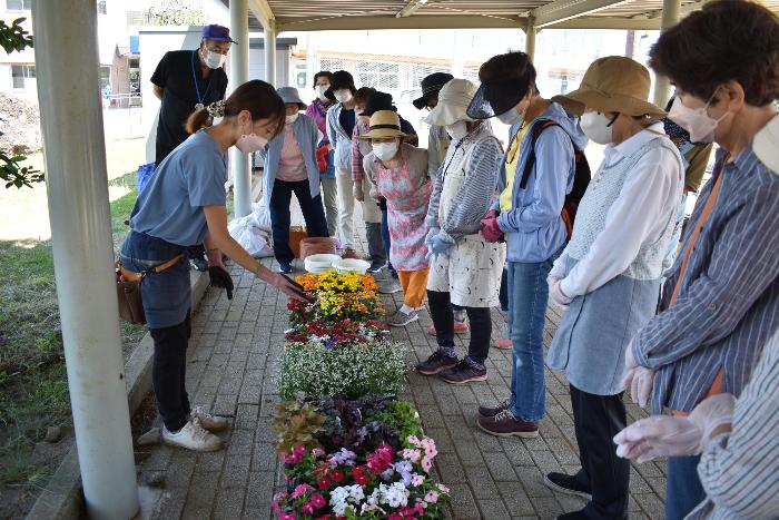 花の寄せ植え教室1