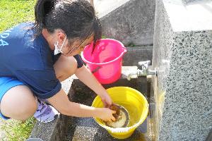 栽培飼育委員会