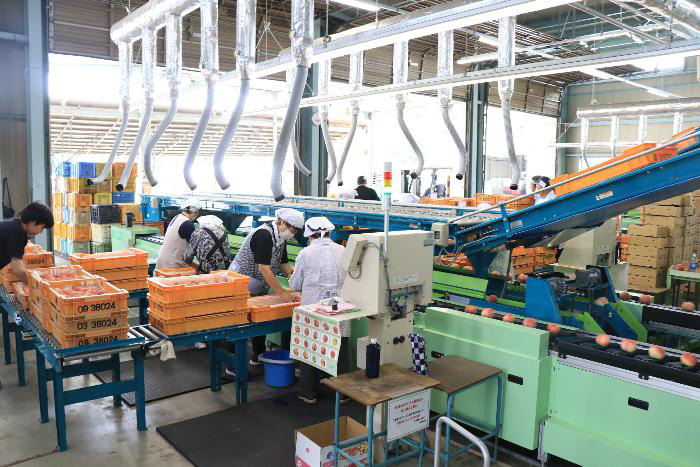 共選所で作業している様子