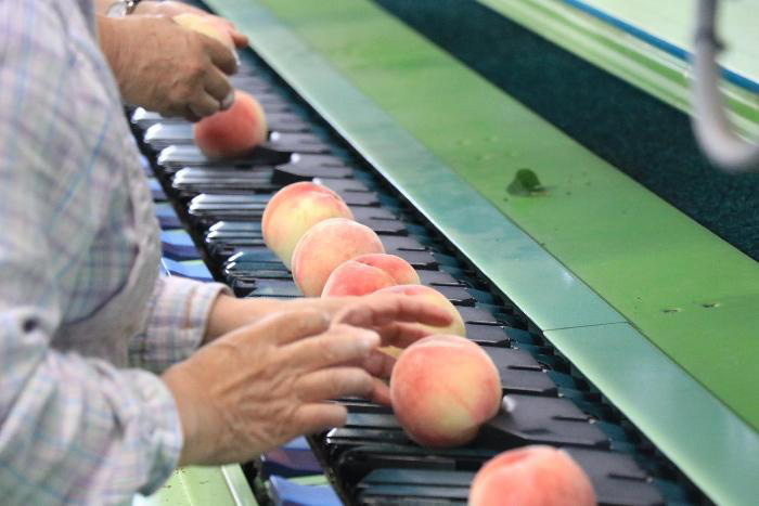 共選所の作業している様子2