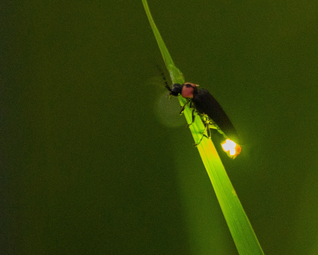 メインスライド画像02