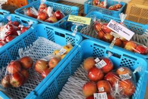 サンふじ・しなのゴールド・はるか2