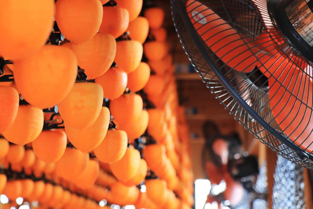 あんぽ柿づくりの様子5