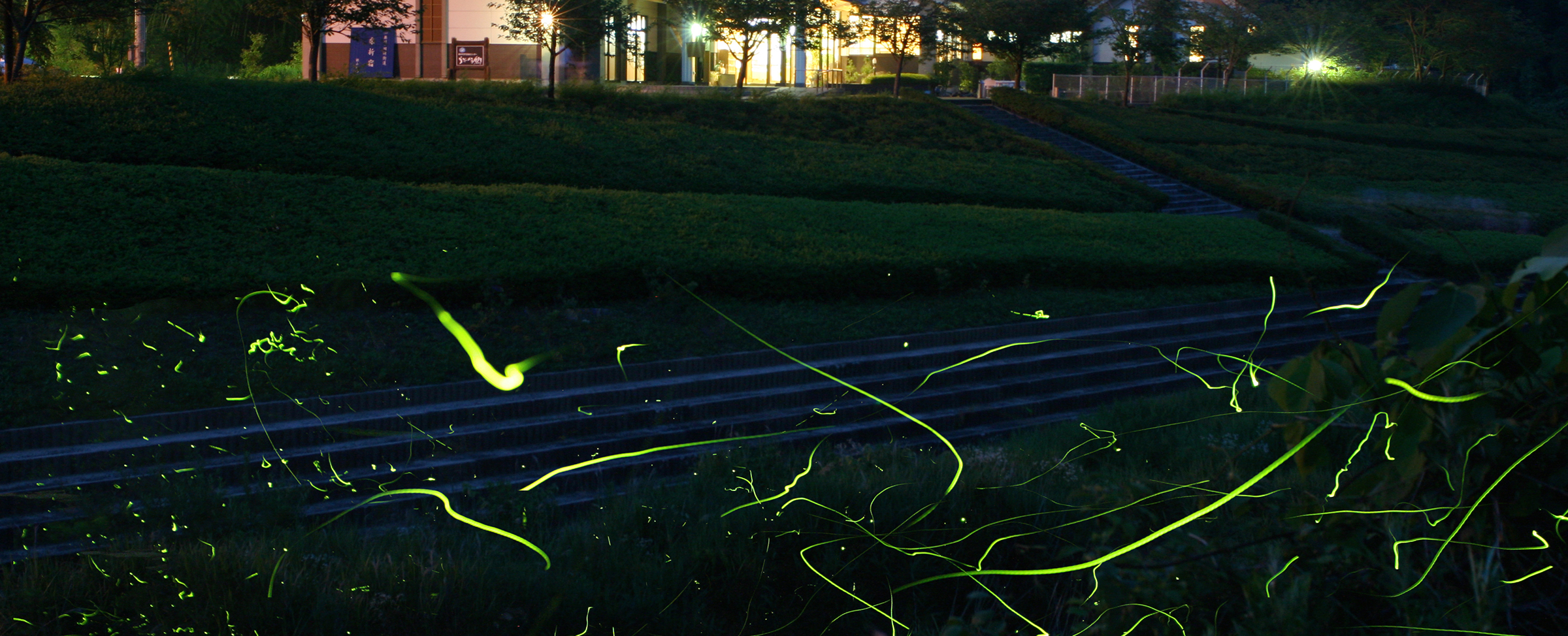 うぶかの郷・ホタル