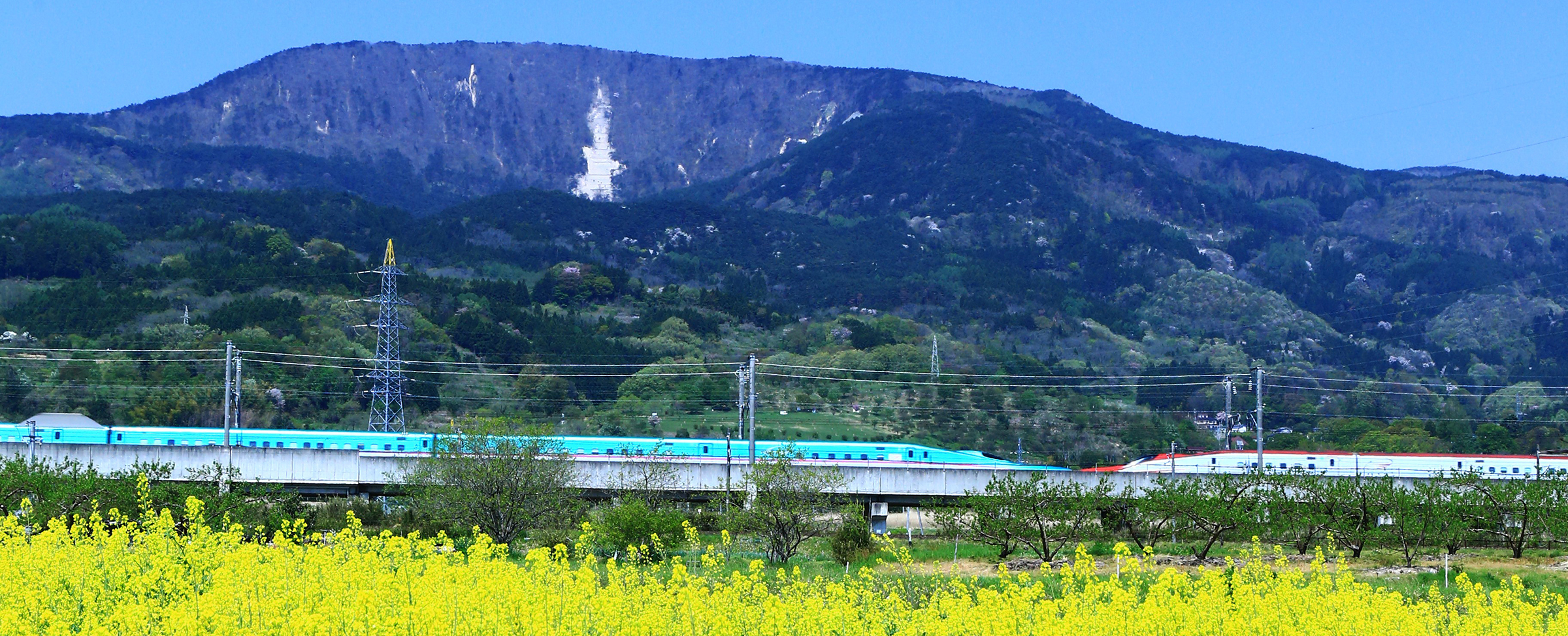 半田山と東北新幹線