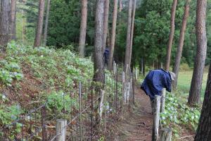 R7半田山山開き写真６