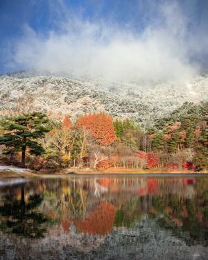 インスタグラムの部最優秀賞