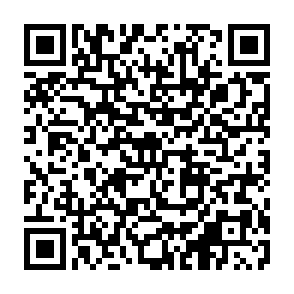 映画申し込み用二次元コード