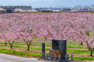 行幸啓記念碑（俯瞰）
