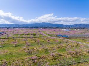 桃の郷ポケットパークからの眺め