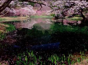 半田山自然公園