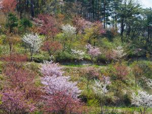 半田山自然公園2