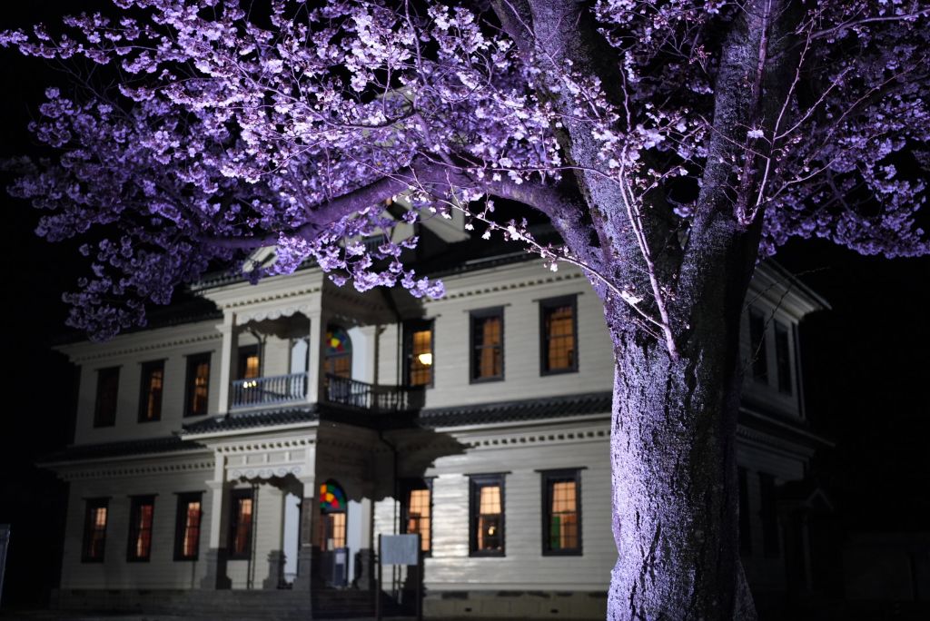 旧伊達郡役所の桜