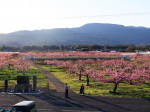 夕暮れ