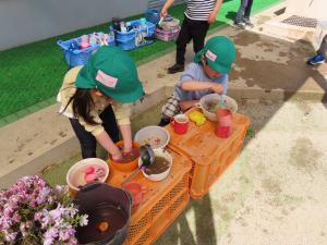 年中草花あそび