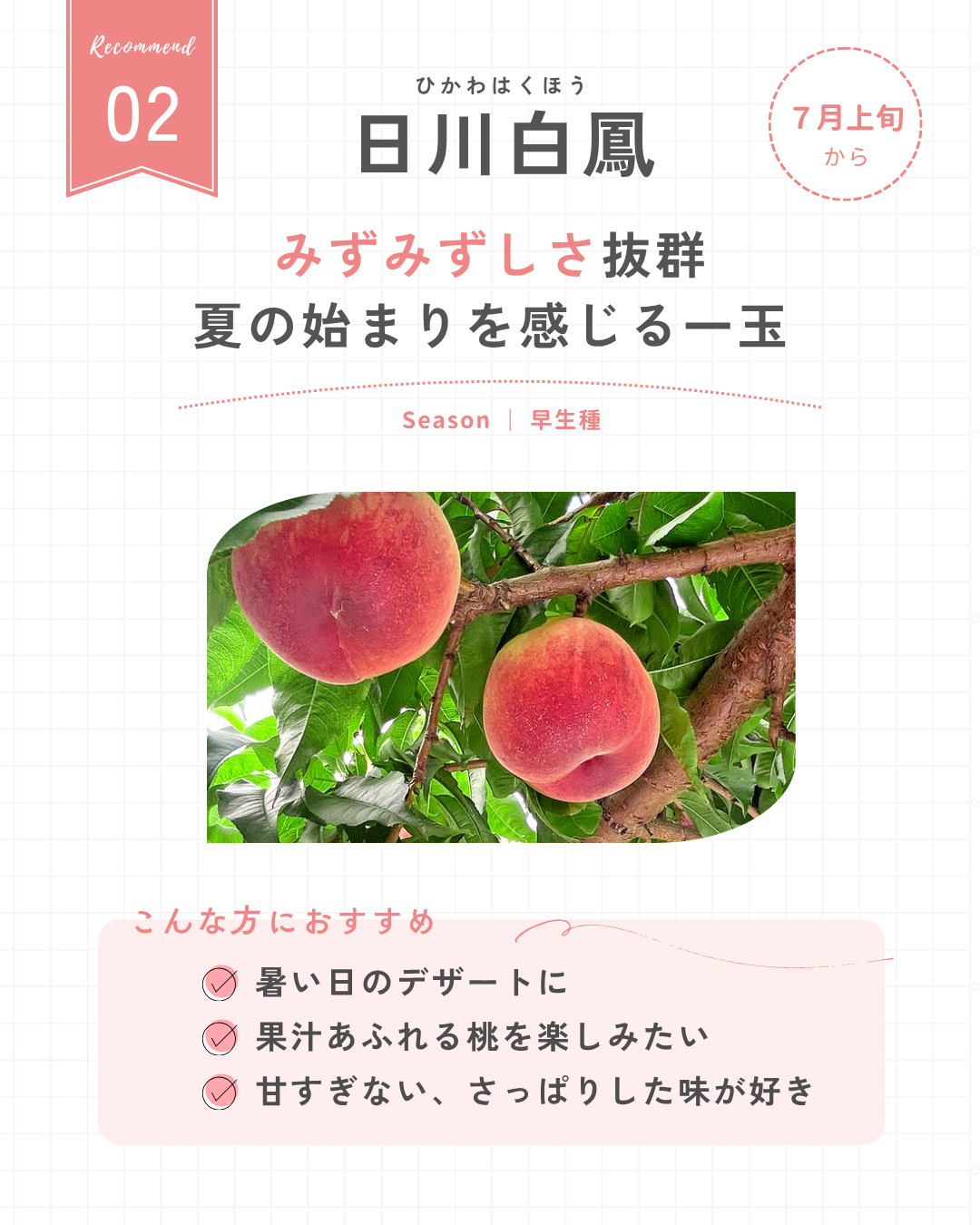 日川白鳳