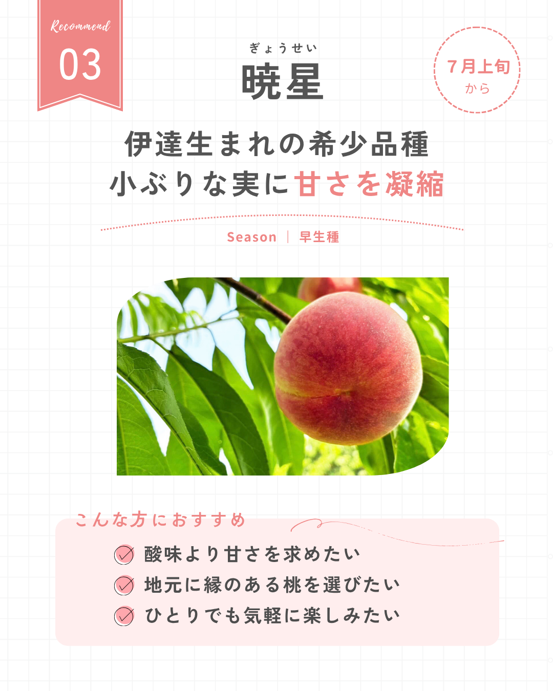 暁星