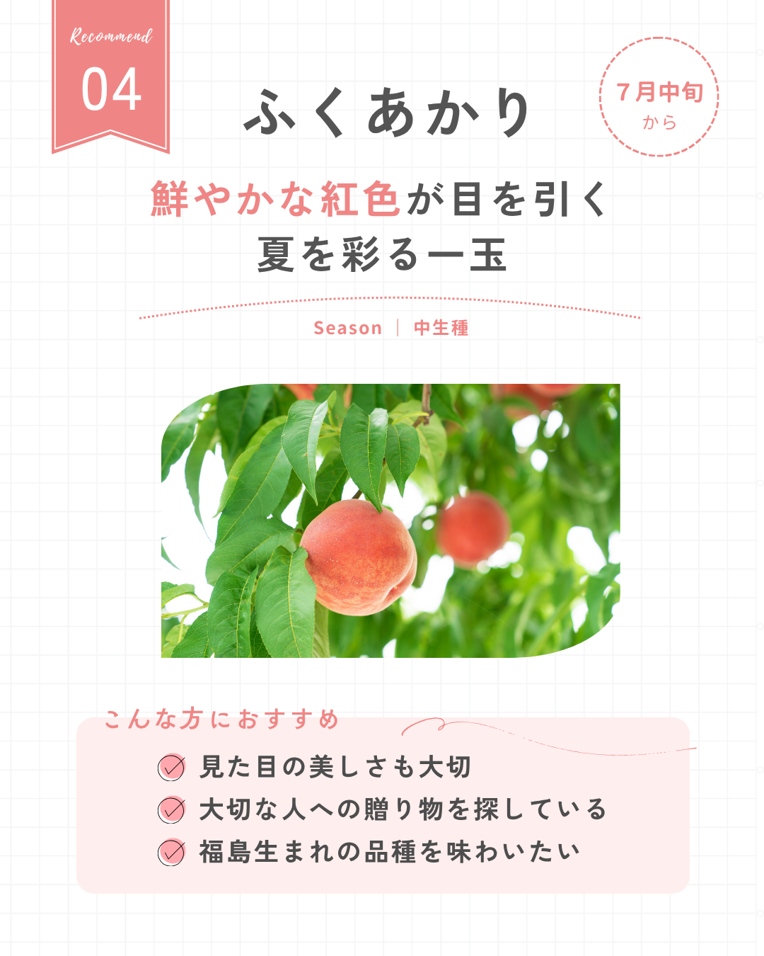ふくあかり