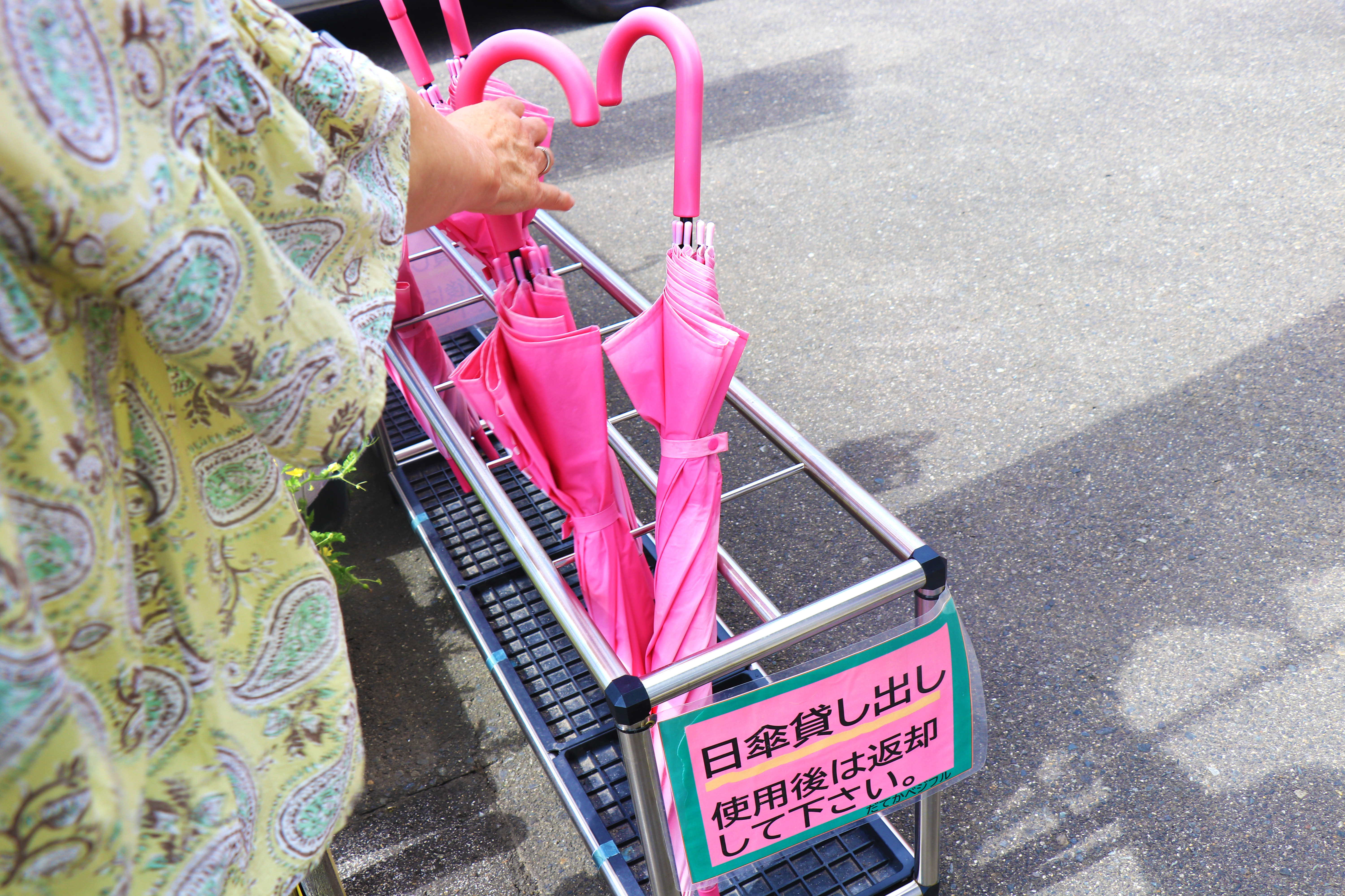 伊達果実