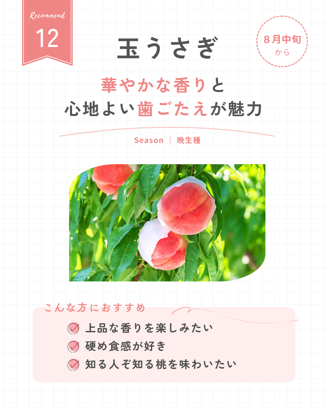 玉うさぎ