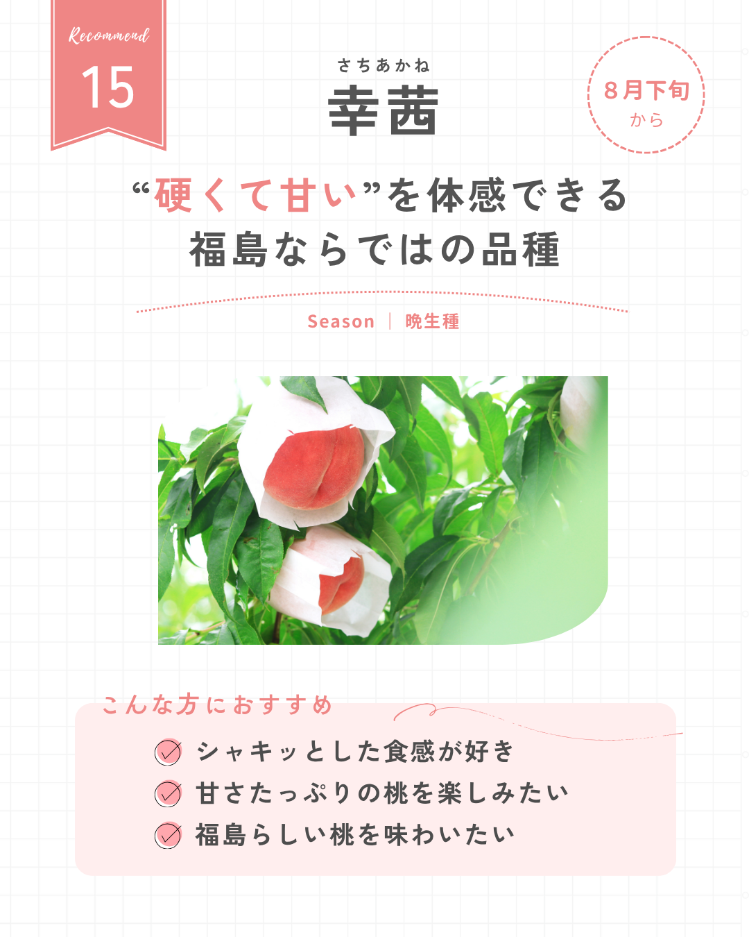 幸茜