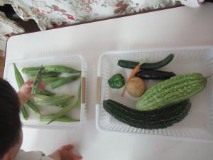 野菜