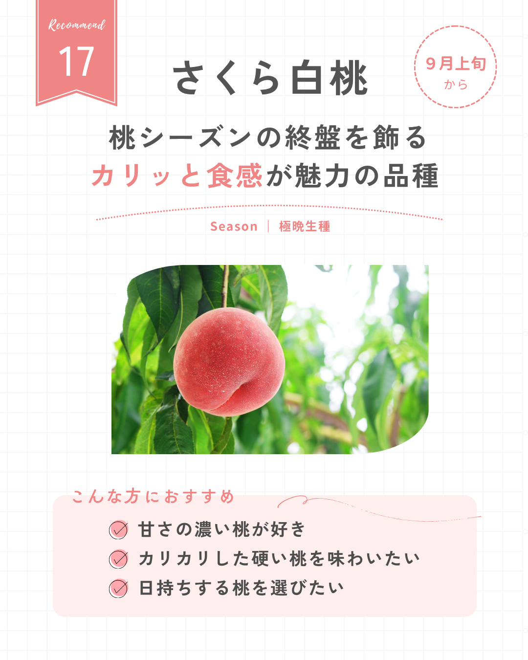 さくら白桃