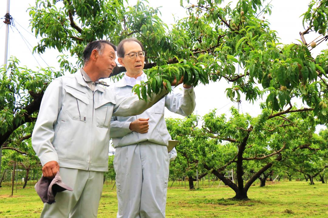 県知事視察